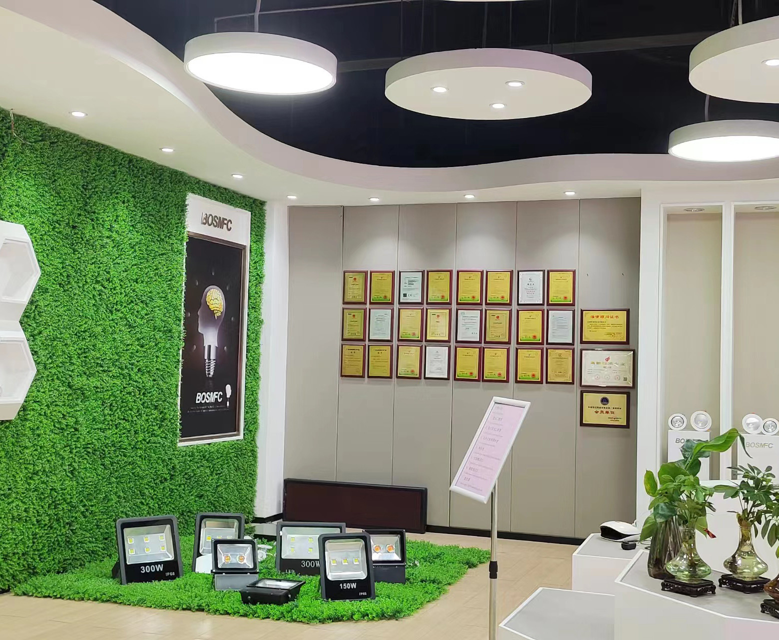 China Dongguan Lanjin Optoelectronics Co., Ltd. Unternehmensprofil