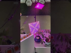 2835 SMD LED PCB Vollspektrum COB Für Pflanzen LED Wachstumslicht