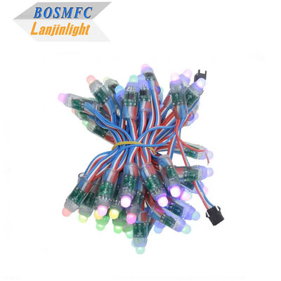 Fabrik-Full-Color-Programmierbar DC5V WS2811 RGB Pixel-Lichtstring Wasserdicht IP68 9mm 12mm Led-String