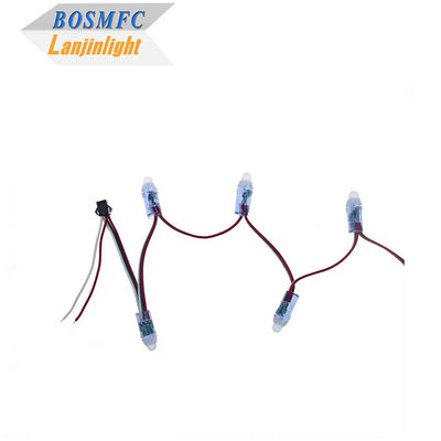 RGB-Full-Colour-Pixel Wasserdicht WS2811-Pixel Digitale Adressierbare LED-Globe-Stringlichter 12mm DC 5V