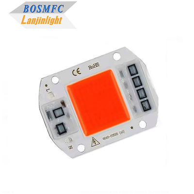 Praktische Vollspektrum-COB-LED-Chip 50W 100W für Innenanlagen wachsen Lampe